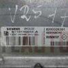 Centralita Ecu Renault Clio Siemens S110140200a Ems3132