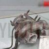 turbo nissan 2.5 dci 14411vk500 14411 vk500