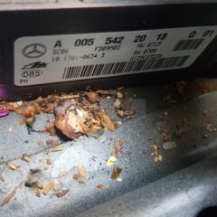 SENSOR ESP MERCEDES CLASE R A0055422018