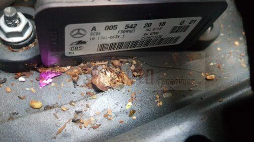 SENSOR ESP MERCEDES CLASE R A0055422018