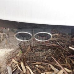 ESCAPE SPORT VW GOLF 5 1.9 TDI