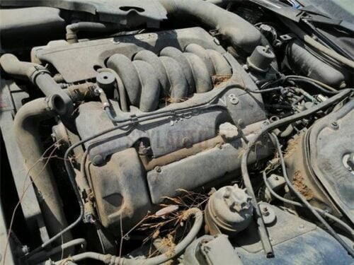 MOTOR JAGUAR XJ8 V8 año 1997