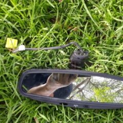 RETROVISOR INTERIOR JAGUAR XJ6 1998